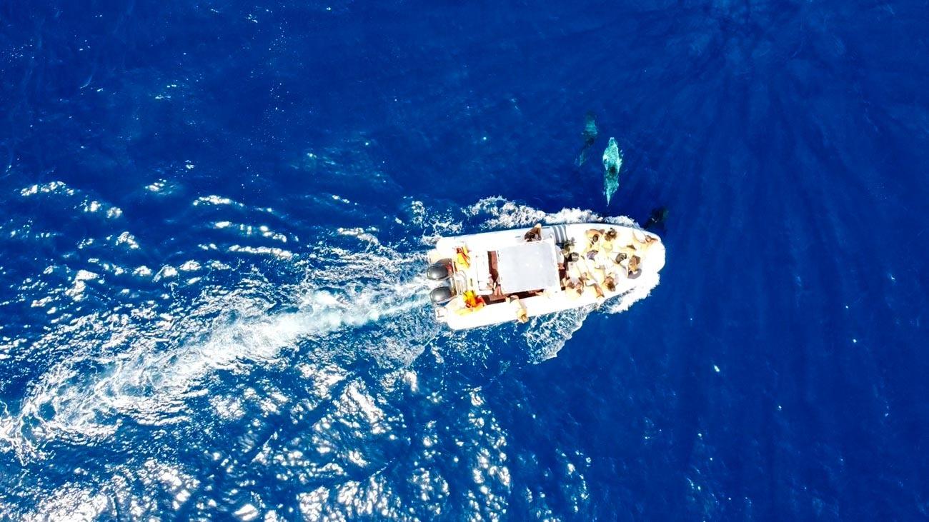 Vue aérienne d’un bateau pneumatique naviguant sur les eaux bleues près de Lampedusa.