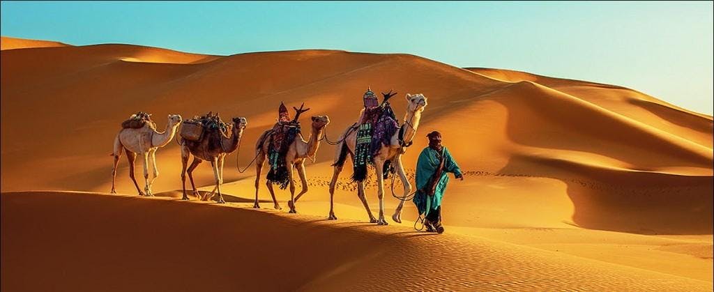 Omega Tour Fes Persoon loopt met kamelen langs de zandduinen tijdens de Tour met Omega Tour Fes.