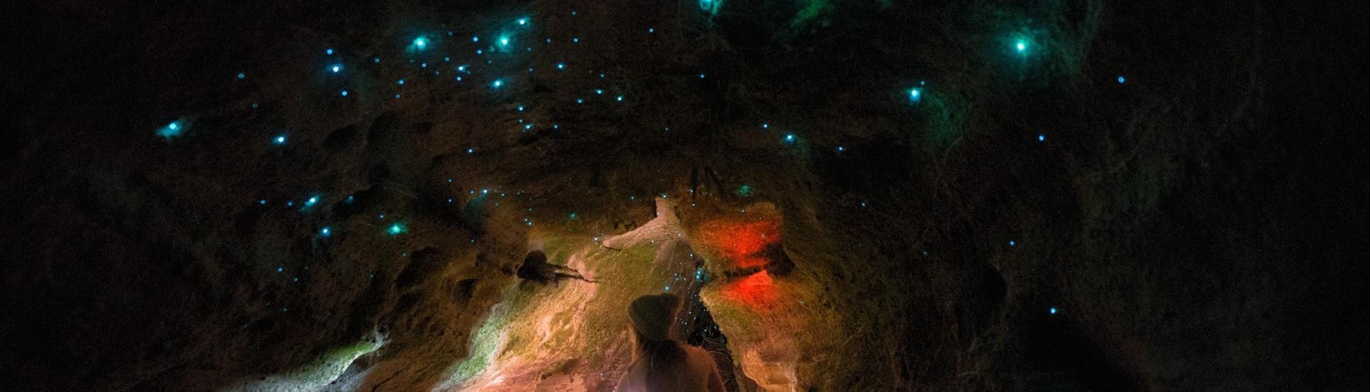 A spectacular view of a glow worm cave near Rotorua during a paddle board tour organized by Paddle Board Rotorua.