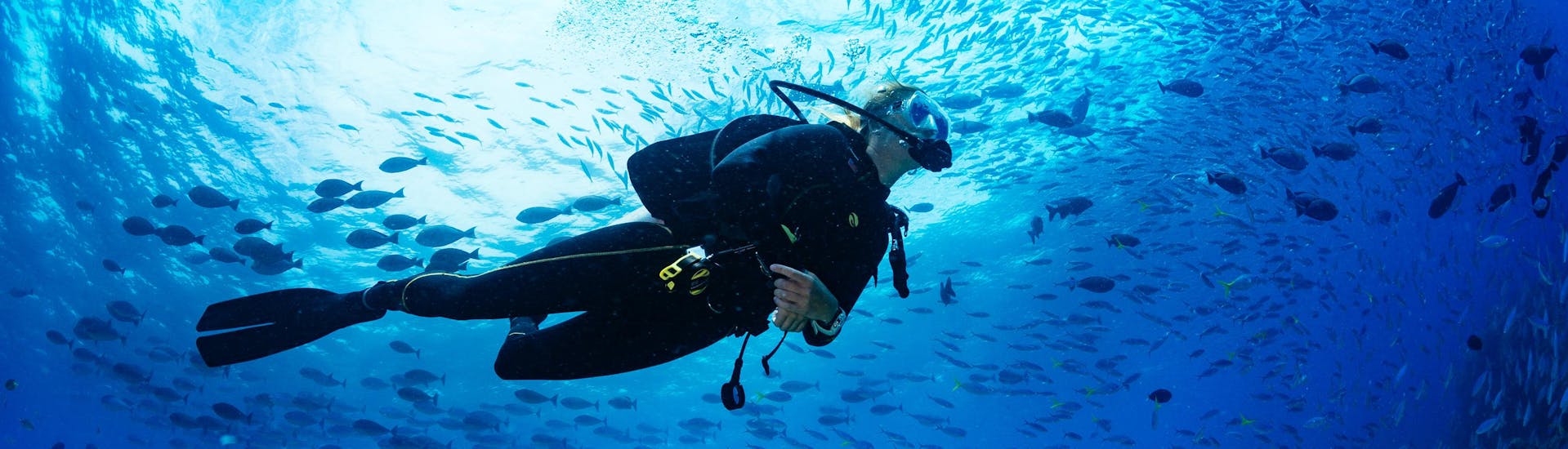 Scuba diving in the most incredible spots with PADI courses from a local dive centre