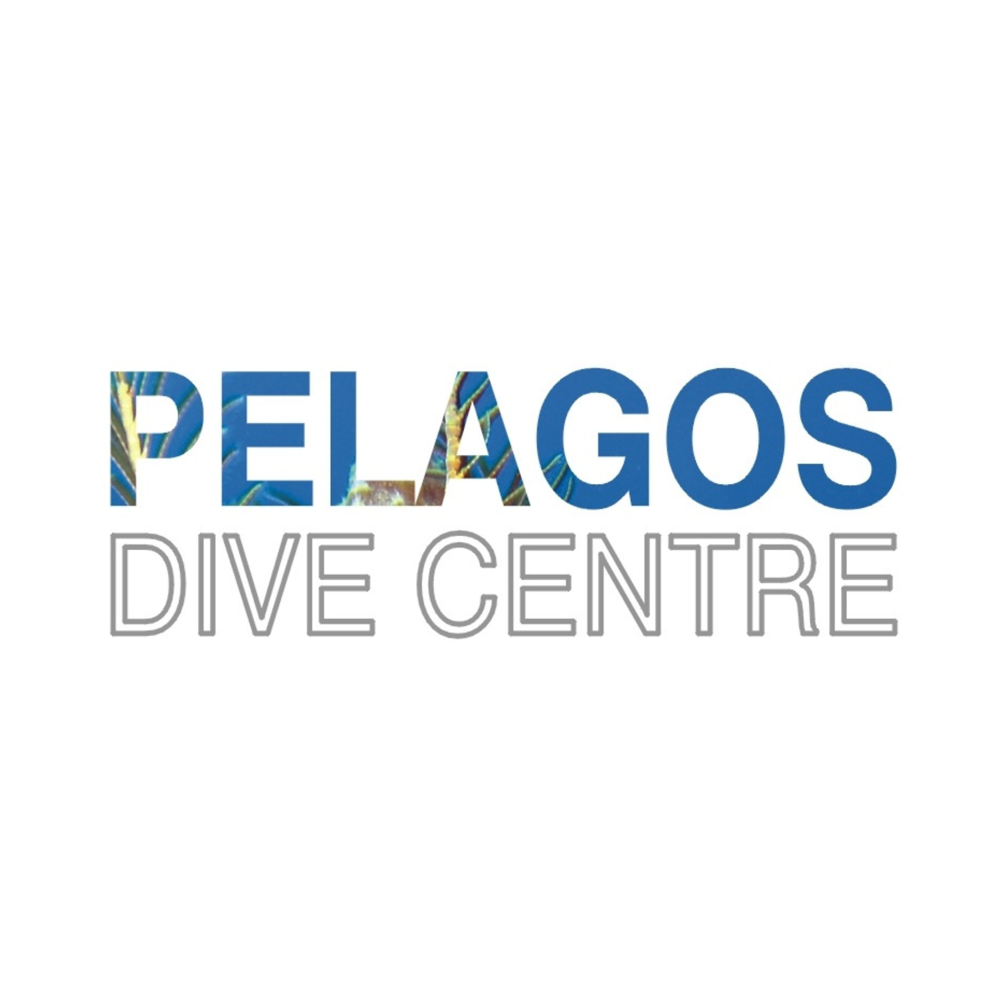 Pelagos Dive Centre Crete logo