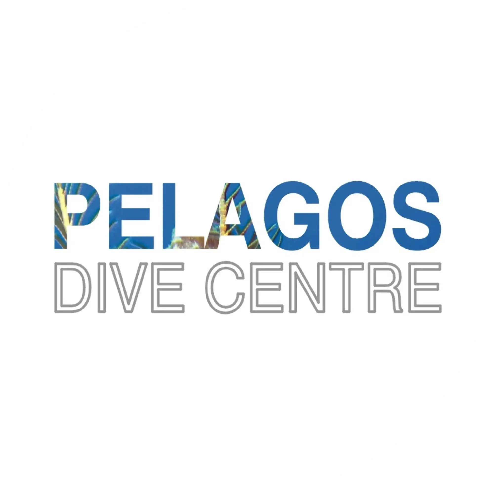 Pelagos Dive Centre Crete