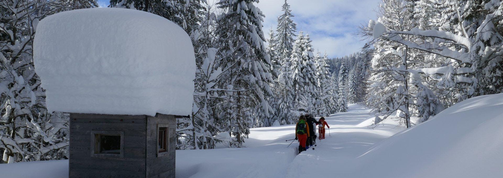 planetb-wintersports-balderschwang-hero Panorama mozzafiato con montagne e mare, dove hanno luogo le attività di planetb Wintersport Balderschwang.