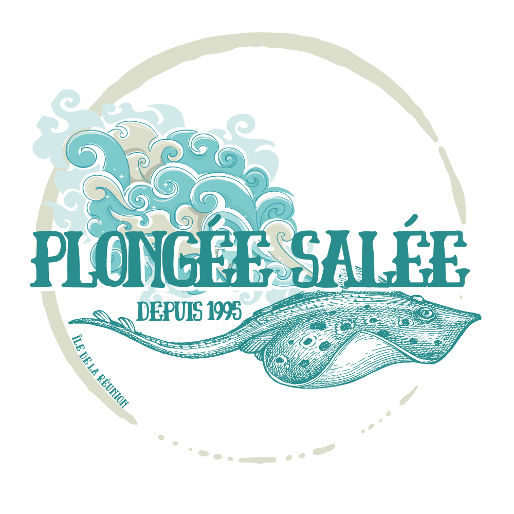 Plongée Salée La Réunion Plongée Salée La Réunion