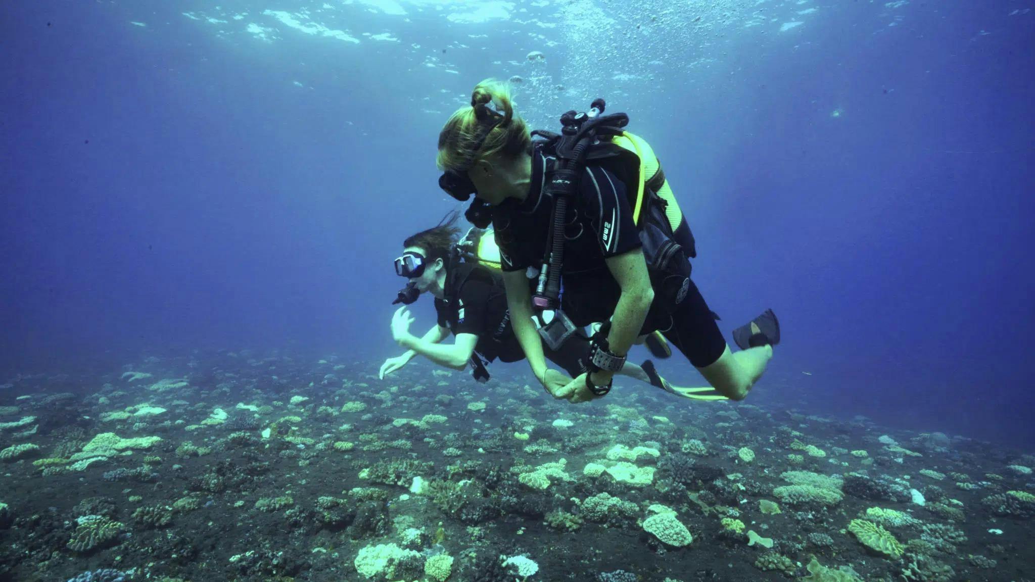 Plongée Salée La Réunion Prachtige landschappen met bergen en zee, waar de ervaringen van Plongée Salée La Réunion plaatsvinden.
