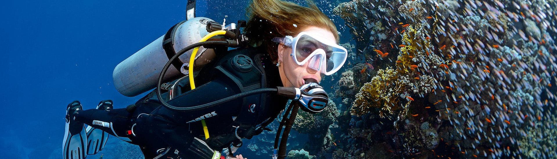 Een vrouw die aan het duiken is met mooie vissen om haar heen in Kreta met  Poseidon Diving Club Crete 