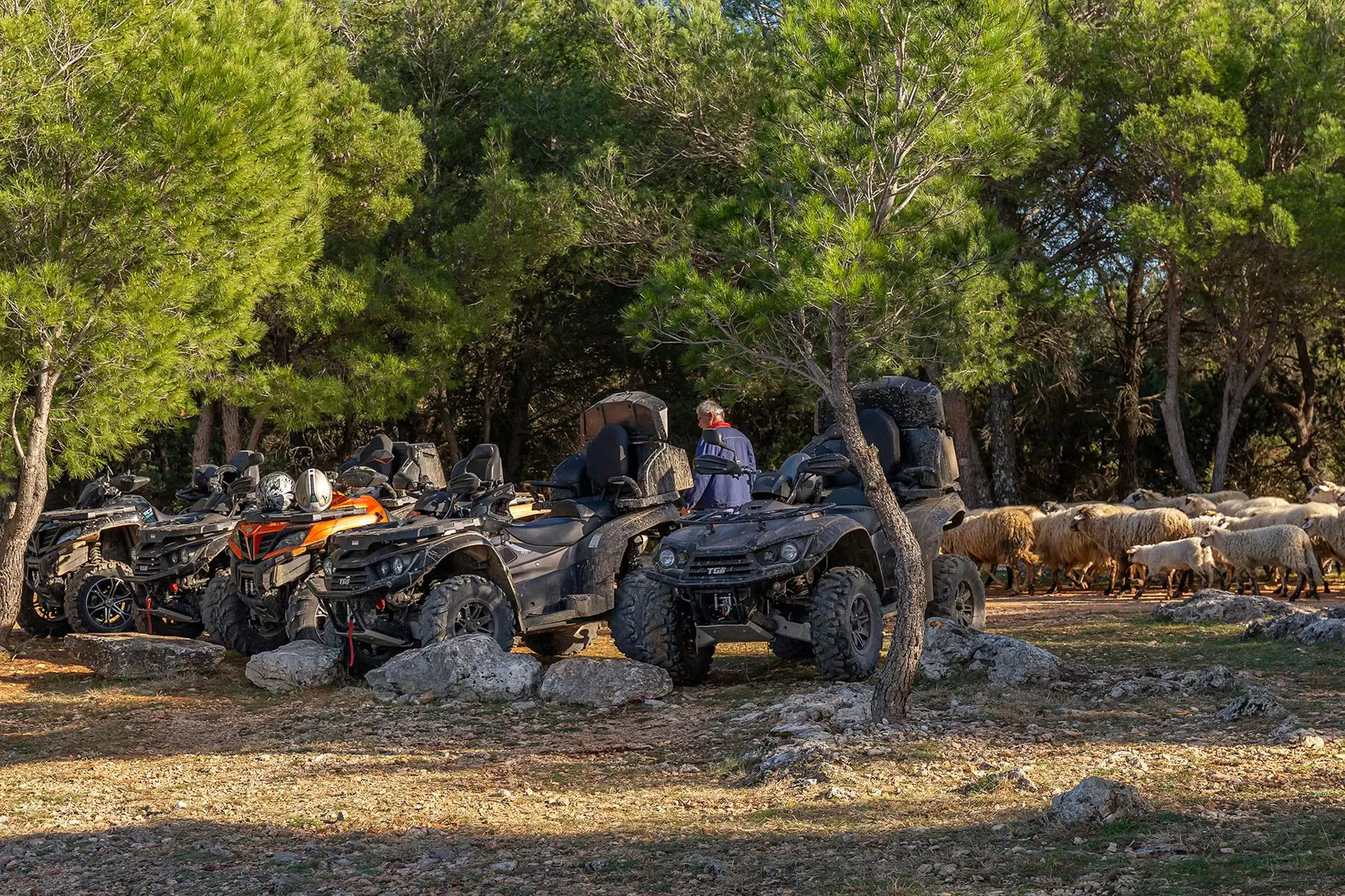 quad.hero Beautiful landscapes showcasing mountains and sea, where the experiences of Sibenik Quad Lozovac are taking place.