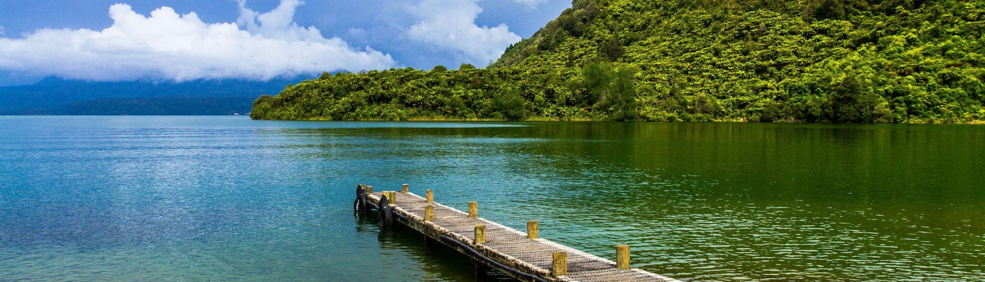 An image of a jetty leading into the clear waters of Lake Tarawera in the Rotorua region, a popular hotspot for kayaking in New Zealand.