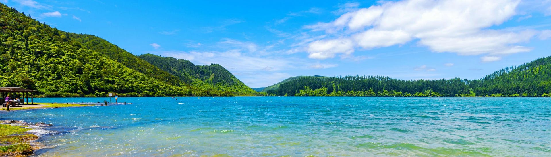 An image taken from the shores of Lake Tikitapu in the Rotorua region, a popular hotspot for kayaking in New Zealand.
