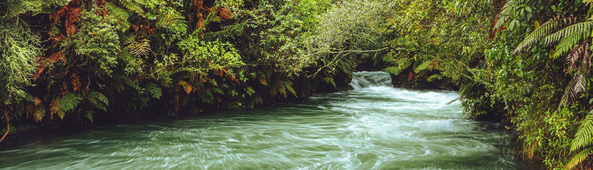 An image of the rousing Kaituna River in the region of Rotorua, a popular hotspot for white water rafting.
