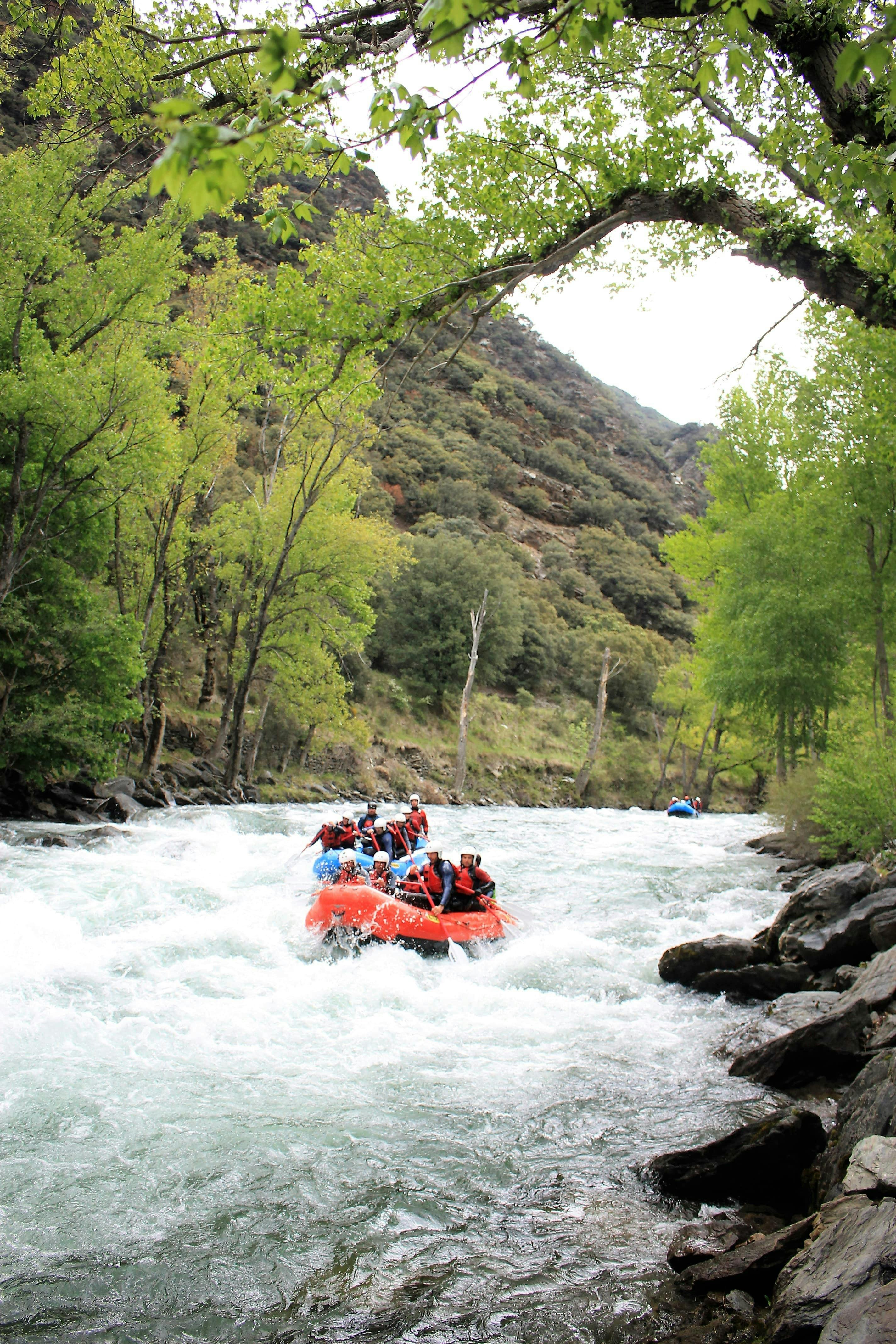 Two groups of people are paddling downstream while rafting in Llavorsí.