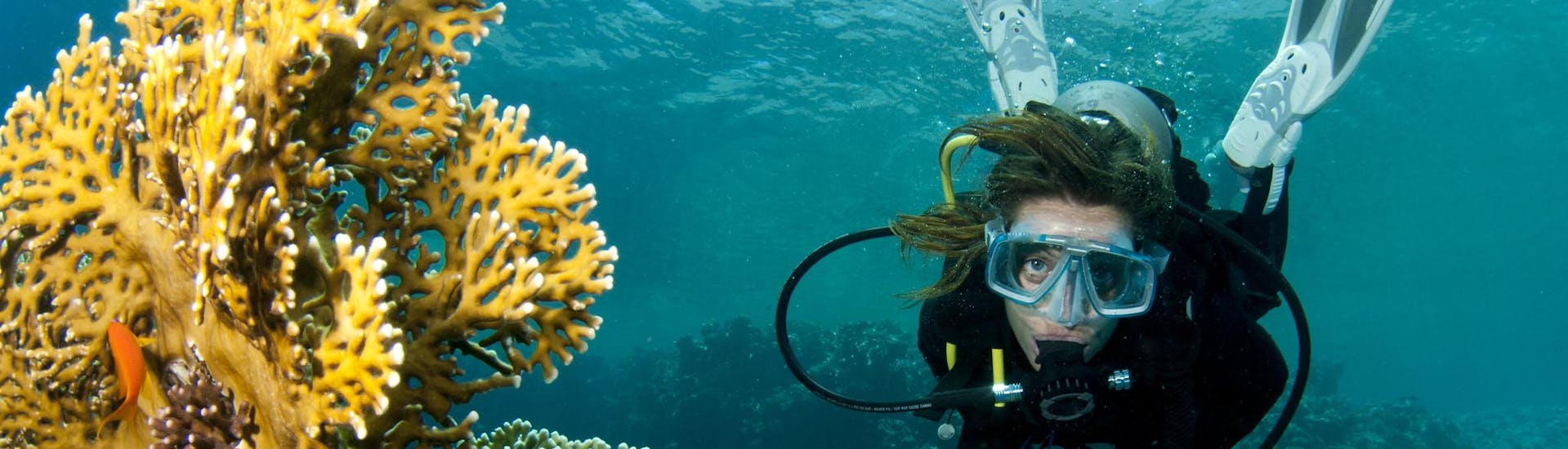 Een vrouw vermaakt zich tijdens een duikactiviteit in riffen en koralen.