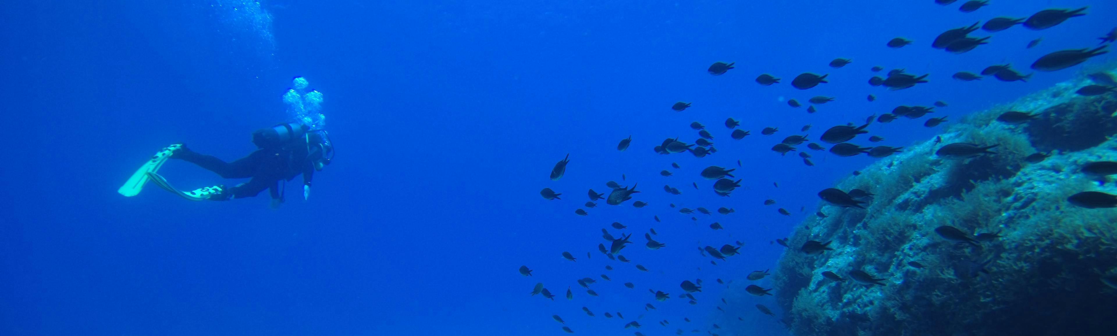 Rhodes Diving Academy A guy diving in the Mediterranean Sea with Rhodes Diving Academy.