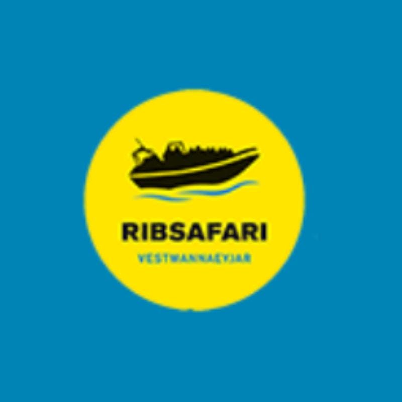 Ribsafari Vestmannaeyjar Ribsafari Vestmannaeyjar