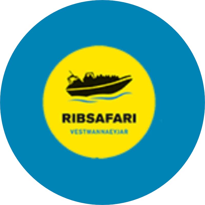 Ribsafari Vestmannaeyjar Ribsafari Vestmannaeyjar