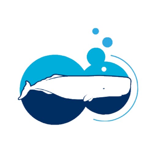 Rota dos Cetáceos Madeira Rota dos Cetáceos Madeira