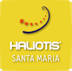 Logo Haliotis Santa Maria