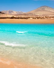Buceo Fuerteventura Shutterstock