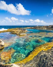 Scuba Diving Lanzarote Shutterstock