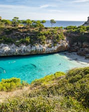 Tauchen Mallorca Shutterstock