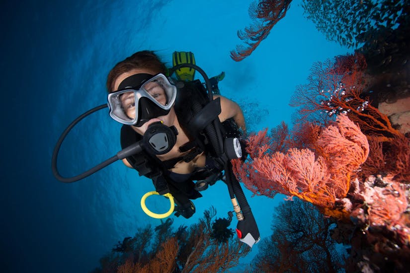 PADI Scuba Diver Tauchkurs in Los Cristianos für Anfänger mit Kayaking &amp; Diving Atlantis Tenerife - Hero image
