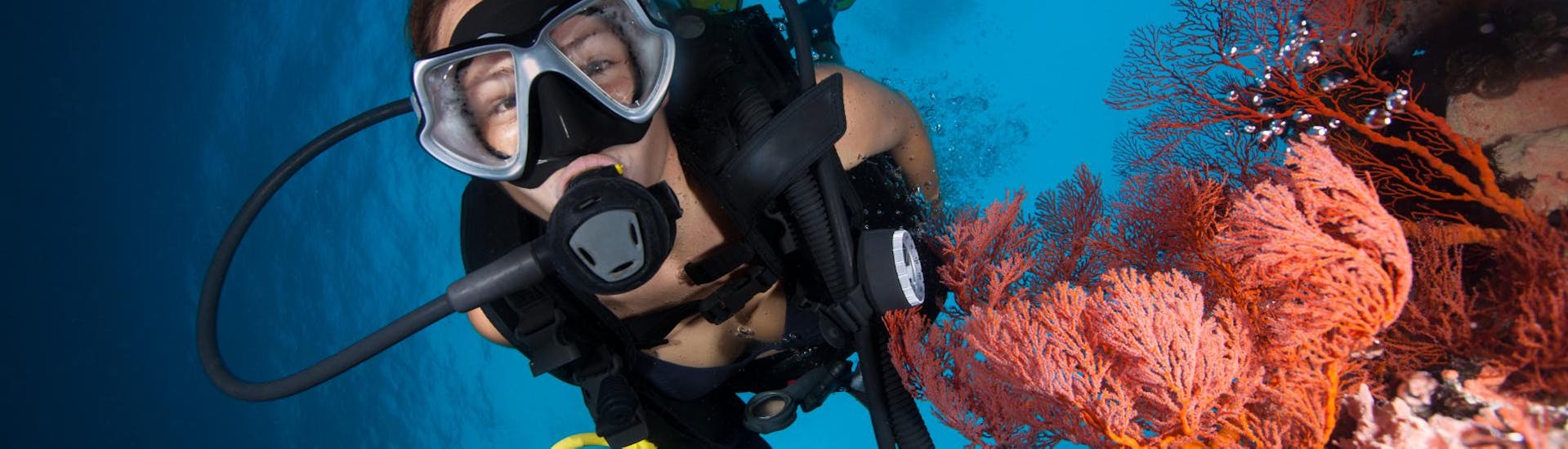 Scuba Diver exploring beautiful reefs