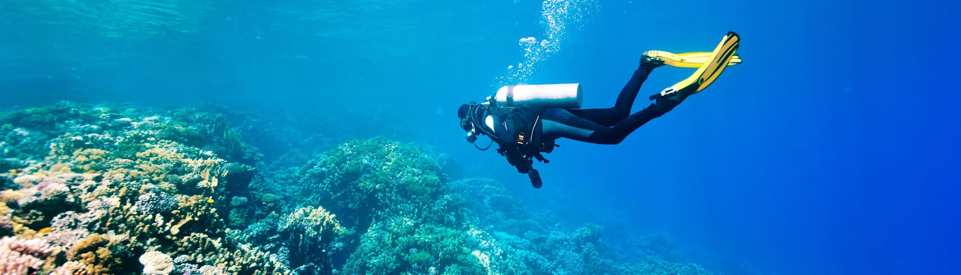 A scuba diver is exploring a reef while scuba diving in the scuba diving destination of Attica.