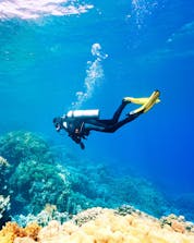 scuba-diving-SEM-hero