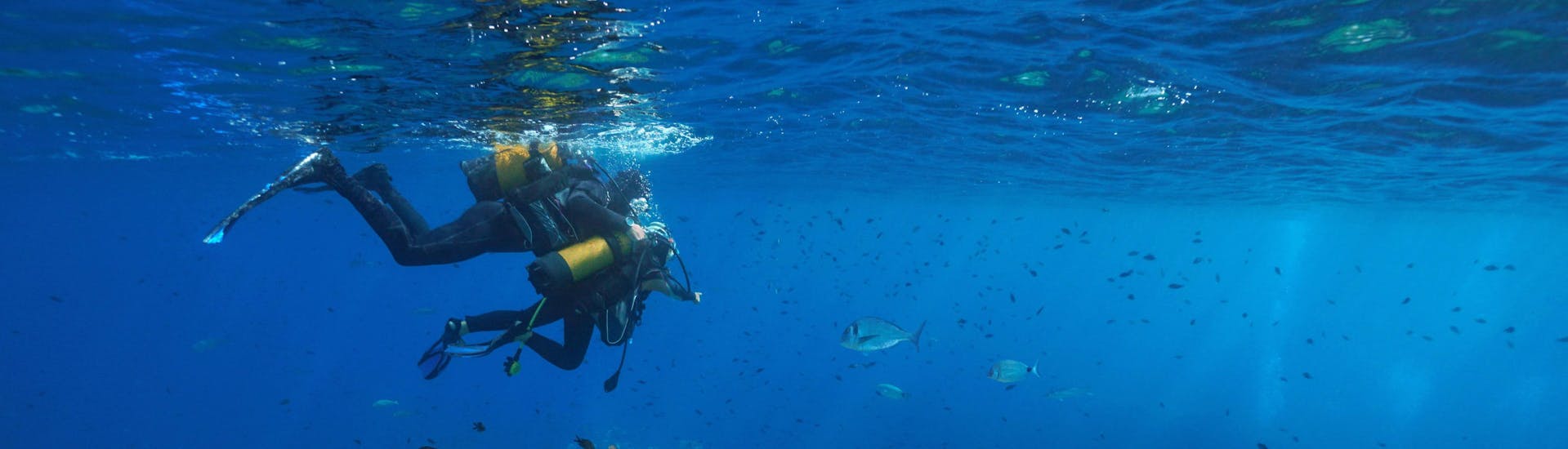 Two people are doing a diving trip in Cerbère.