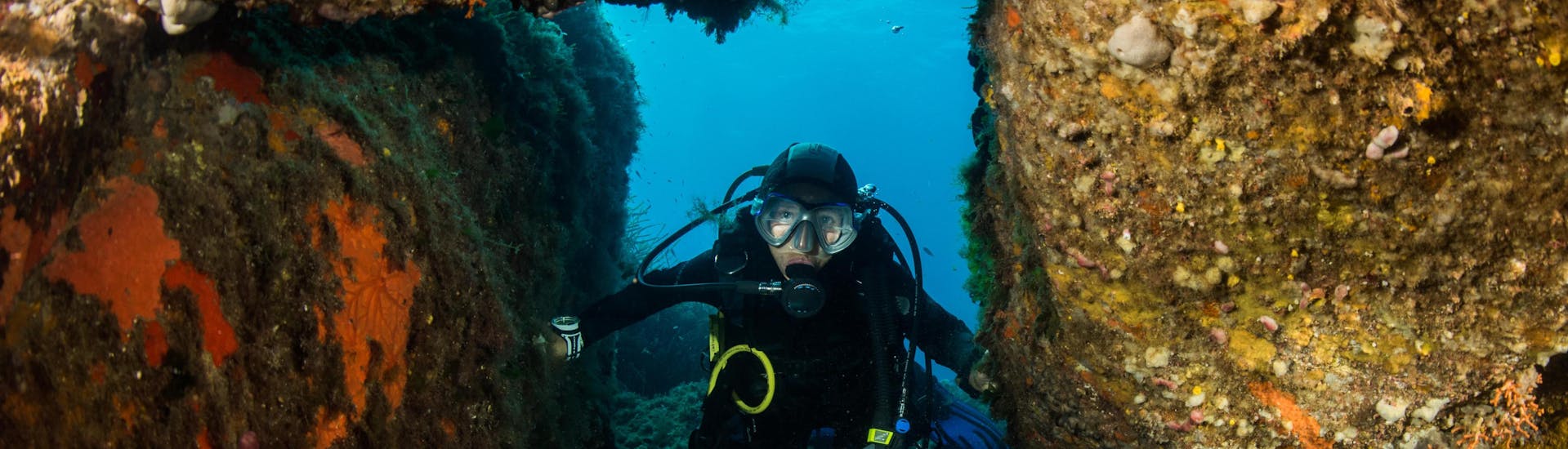 A diver is enjoying the seabed in Corse du Sud, Corsica during a diving excursion.