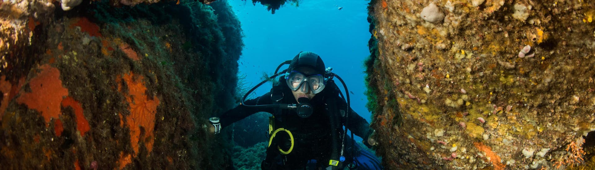 A diver is enjoying the seabed in Corsica during a diving excursion.
