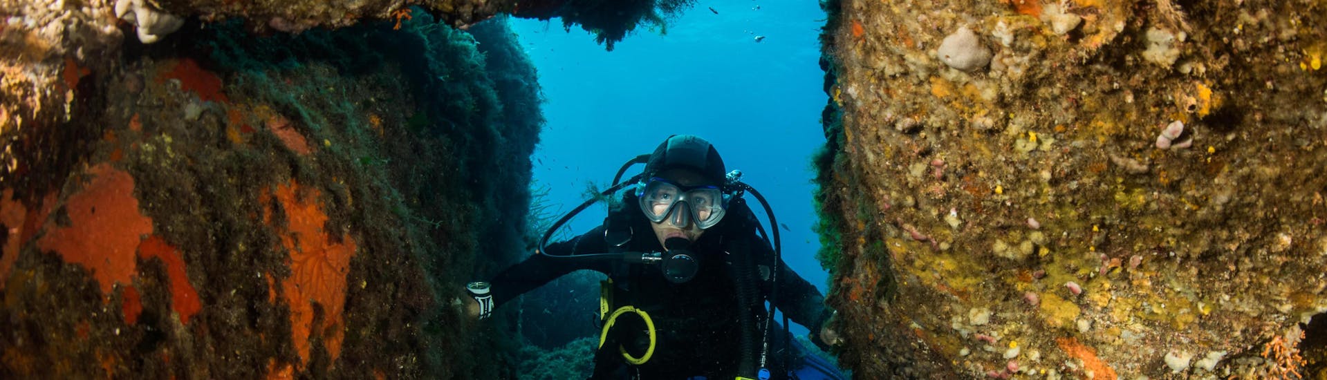 A diver is enjoying the seabed in Haute-Corse, Corsica during a diving excursion.