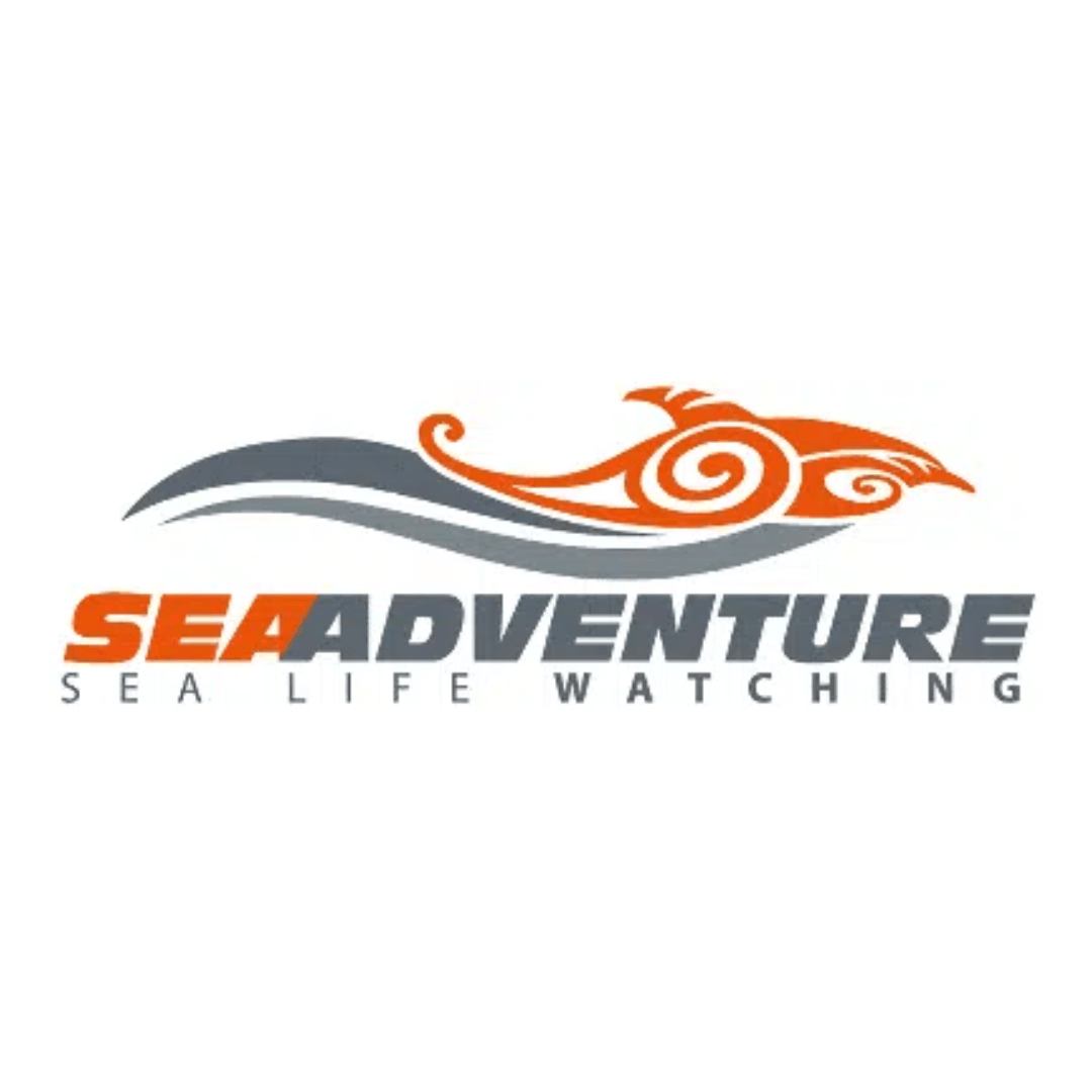 Sea Adventure Six-Fours-les-Plages Sea Adventure Six-Fours-les-Plages