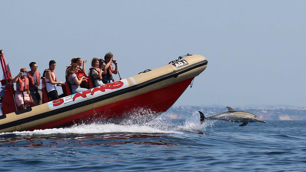 A group of people is watching dolphins during a boat trip with Seafaris Algarve.