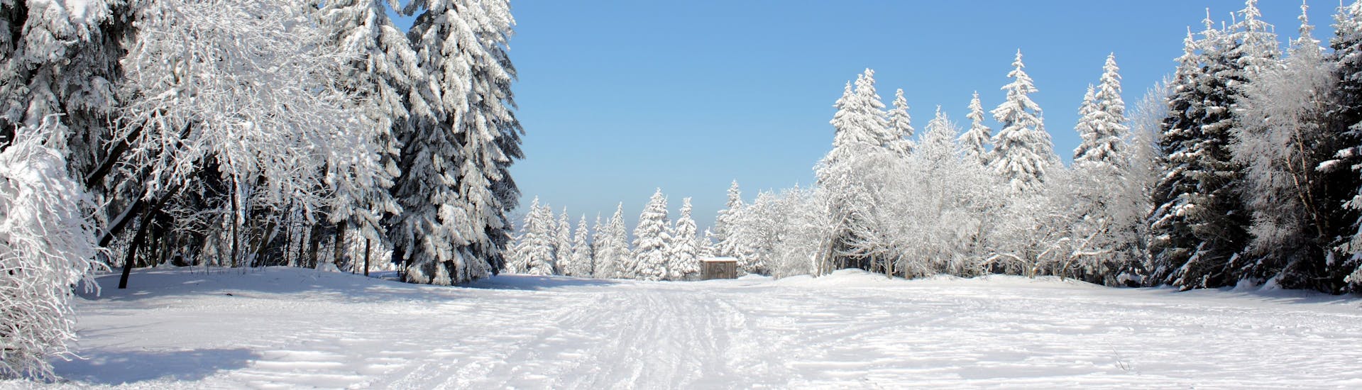 Ein Bild der verschneiten Winterlandschaft nahe Altenberg, einem beliebten deutschen Skigebiet in dem örtliche Skischulen Skikurse für Kinder und Erwachsene anbieten, unabhängig von deren Level.