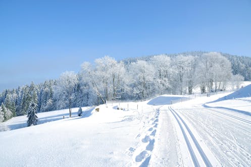 Image des pistes de ski en forêt bavaroise où vous pouvez réserver des leçons de ski.