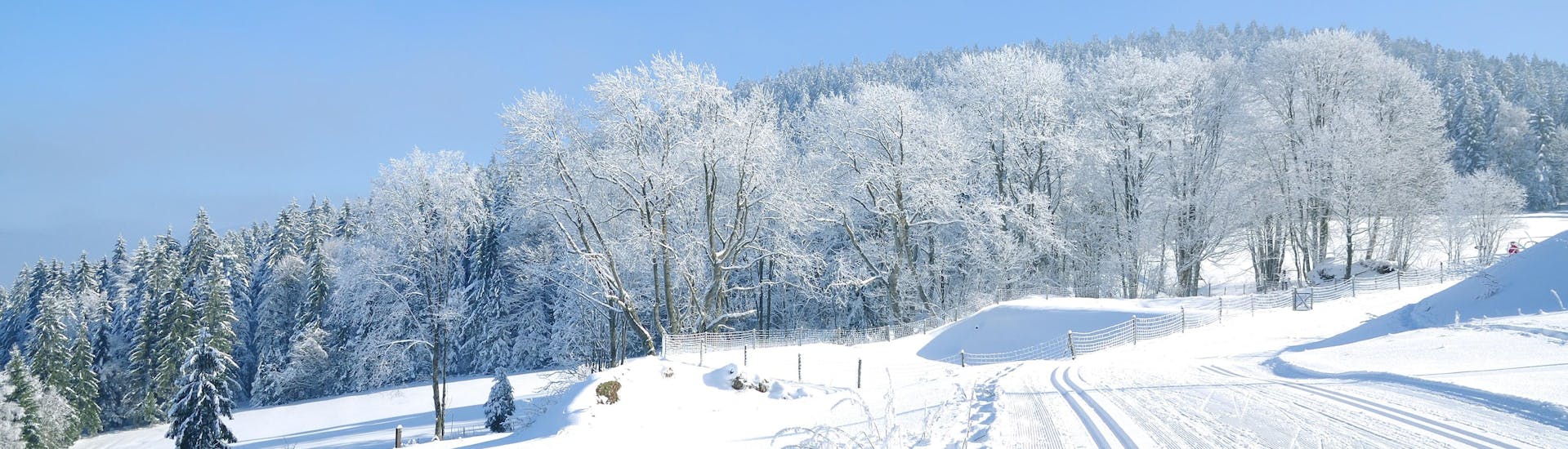 Immagine delle piste da sci della Foresta Bavarese dove è possibile prenotare lezioni di sci.