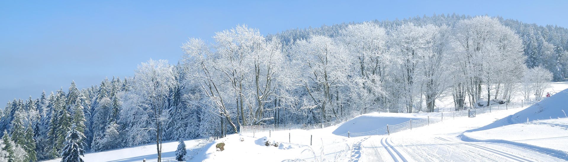 Image des pistes dans la forêt bavaroise près de Sankt Englmar où vous pouvez réserver des leçons de ski.