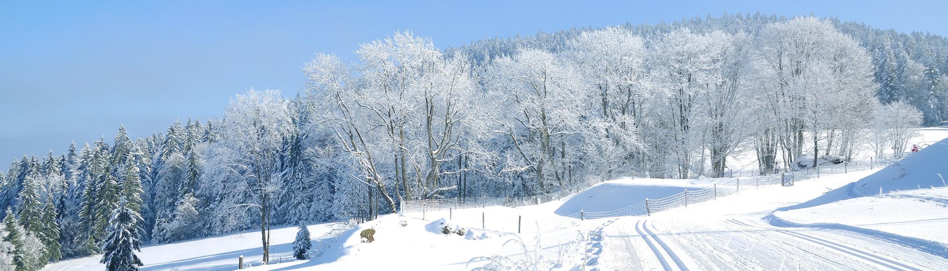 Image of the ski slopes in Bavarian Forest where you can book ski lessons.