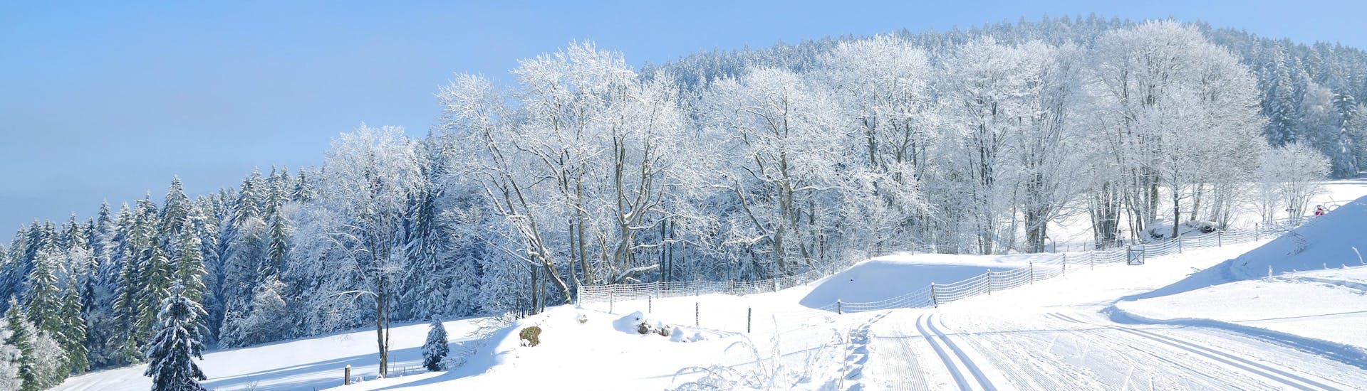 Foto van de pistes in Mitterdorf (Almberg) - Mitterfirmiansreut waar u skilessen kunt boeken.