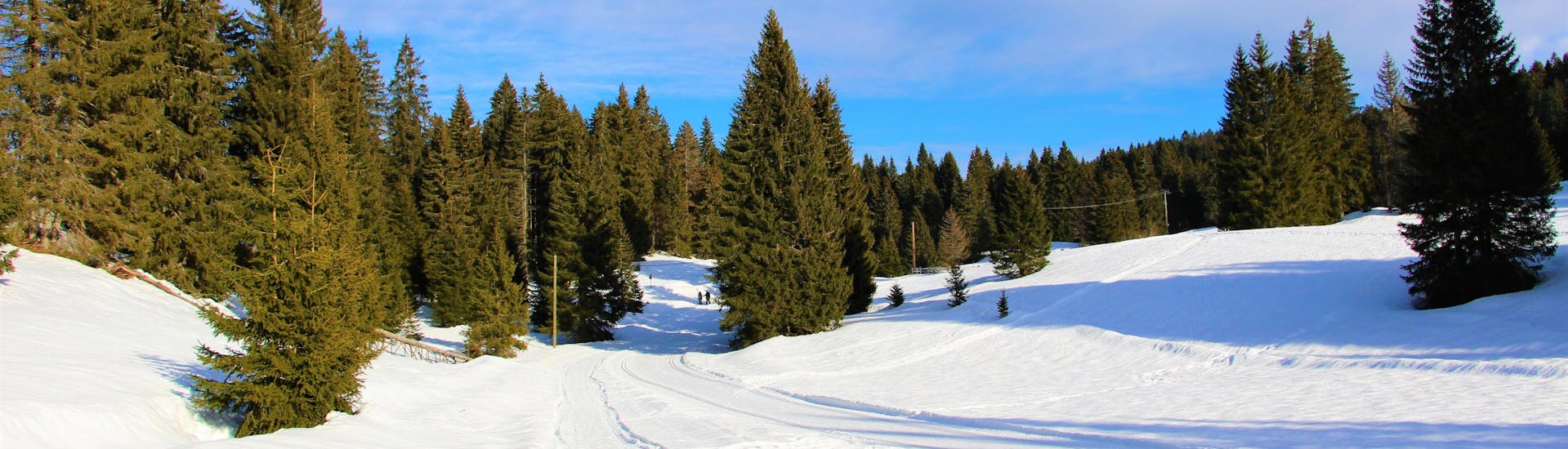 Ein schneebedeckter Tannenwald im französischen Les Rousses.