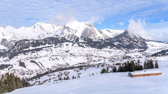 An image of a snowy winter landscape in the Swiss region of Toggenburg, where visitors can book ski lessons with the local ski schools.