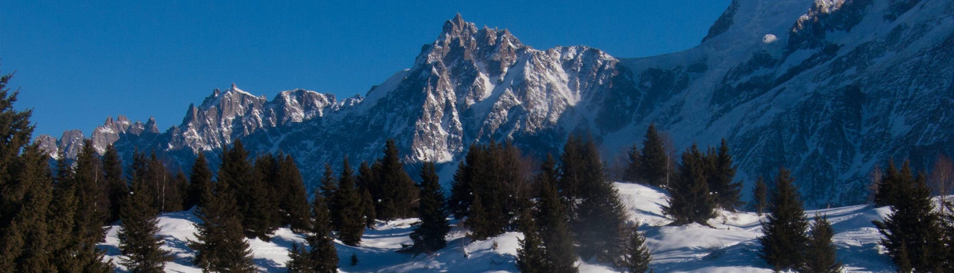Vues panoramiques sur la verdure et les montagnes enneigées de Vallorcine où les écoles de ski donnent des cours de ski.