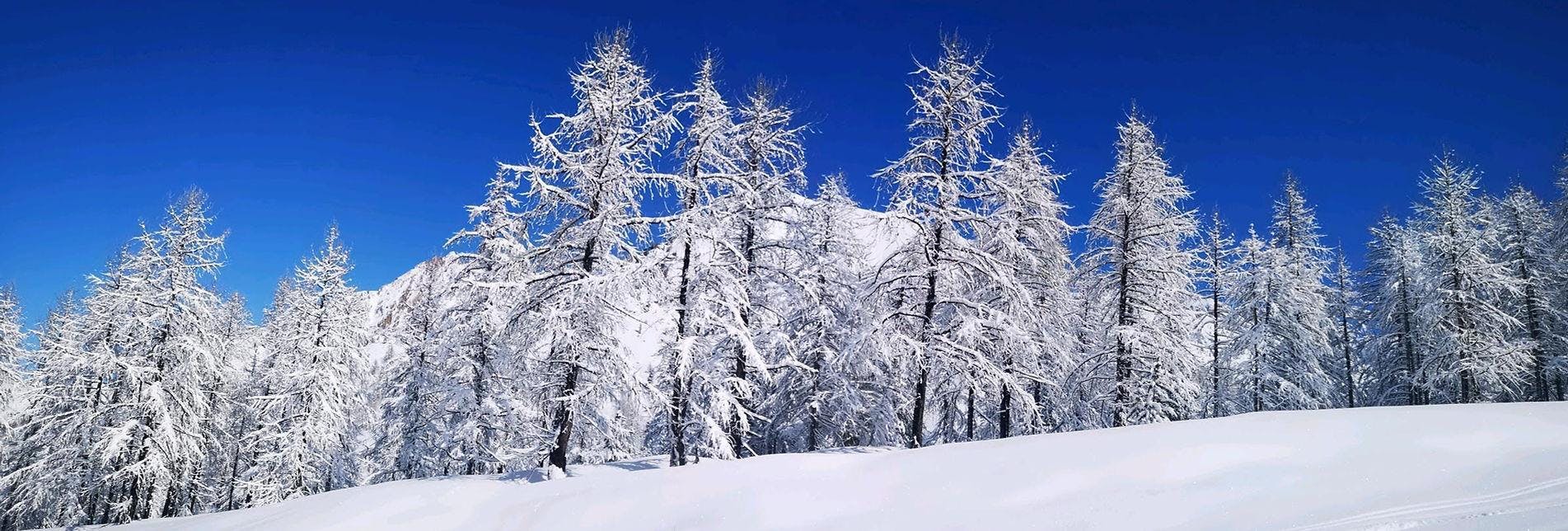 aventure Canyoning & Skiing Isola 2000 Beeindruckende Landschaften mit Bergen und Meer, wo Aktivitäten von Aventure Canyoning & Skiing Isola 2000 stattfinden.