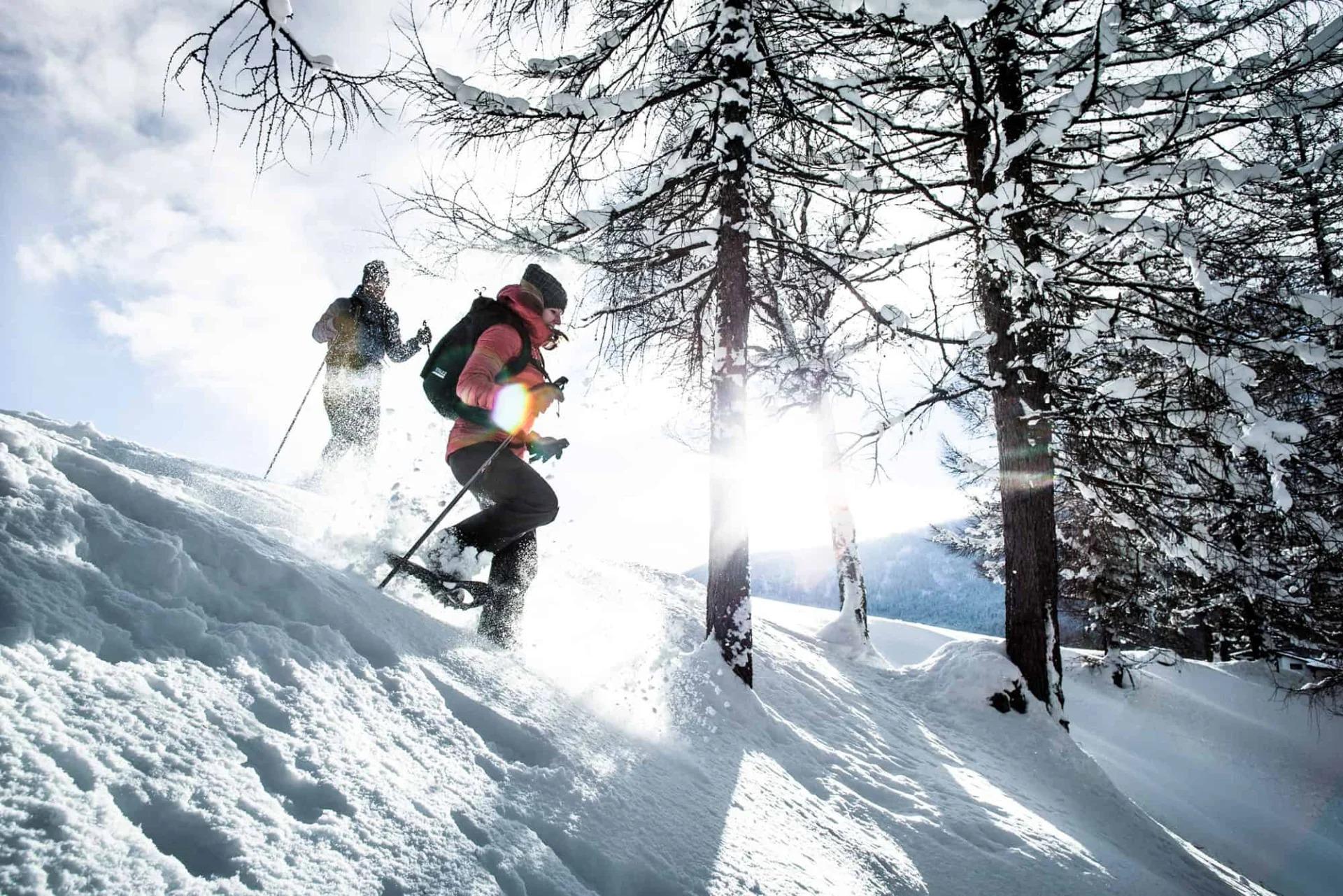 Due sciatori che praticano sci alpinismo attraversando una foresta innevata in una giornata invernale soleggiata.
