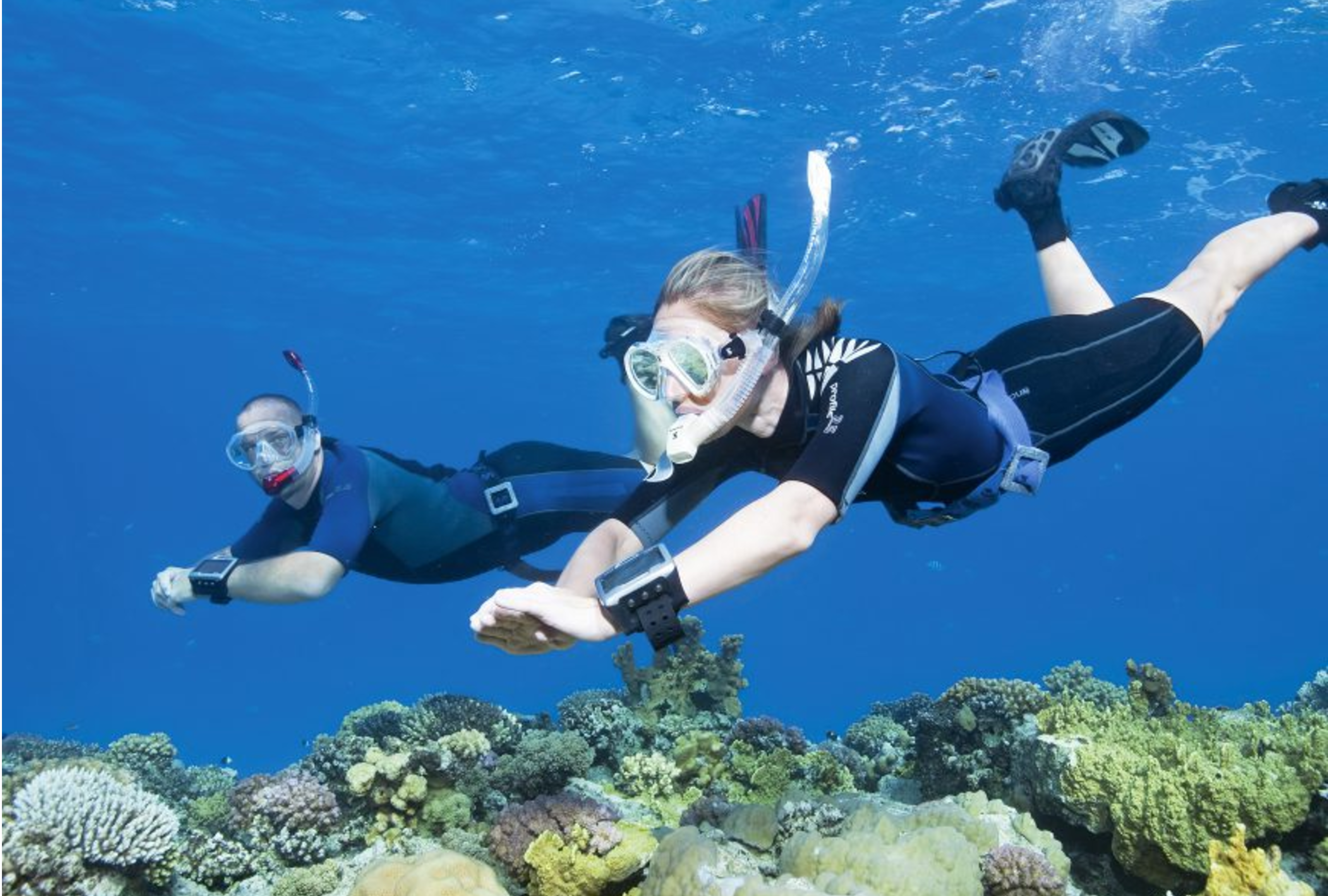 ▷ Snorkeling in Tarifa from 6 € - CheckYeti