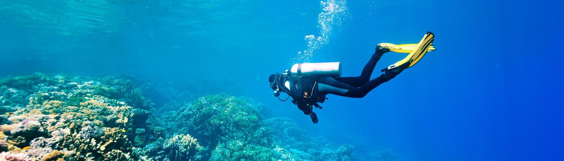 Una persona che segue un corso SSI in una barriera corallina