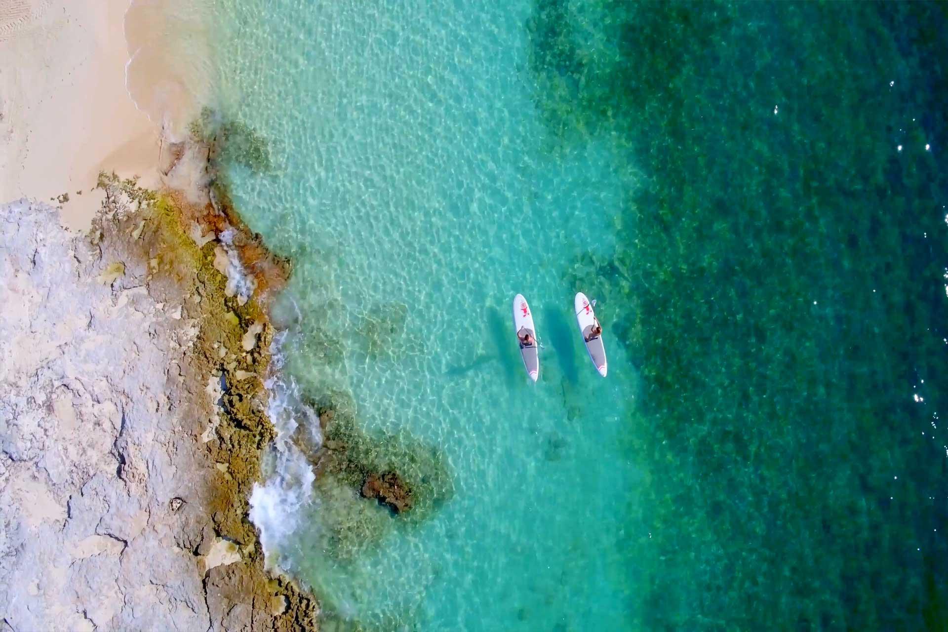 Dos participantes en una excursión de SUP remando en el mar.