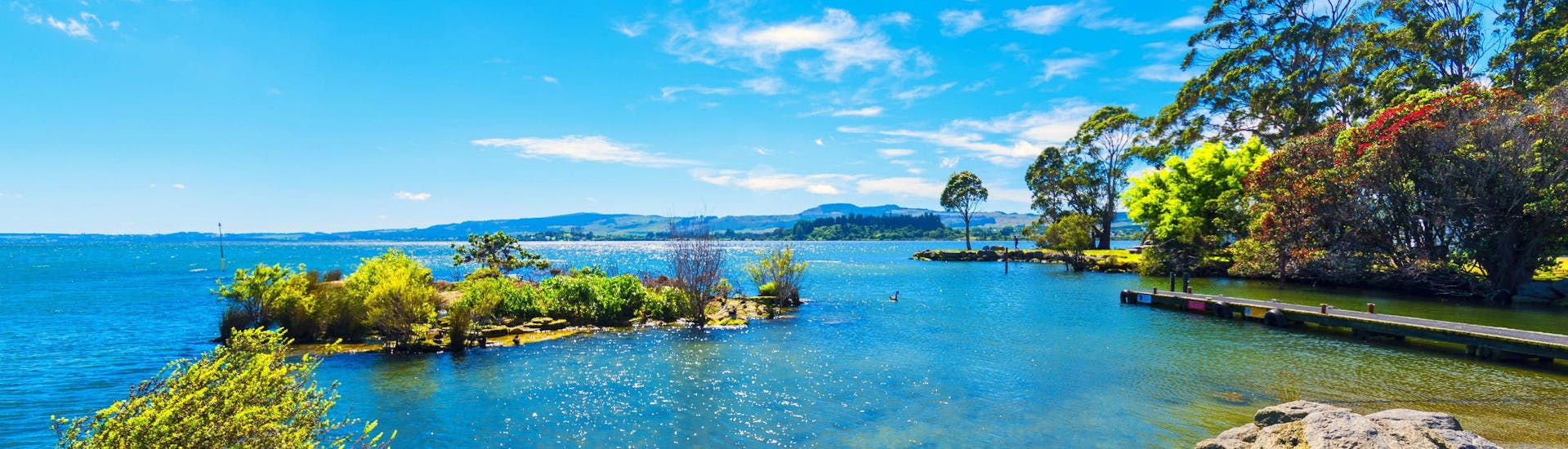 An image of one of the Rotorua Lakes near Okere Falls, a popular place to go Stand Up Paddleboarding.