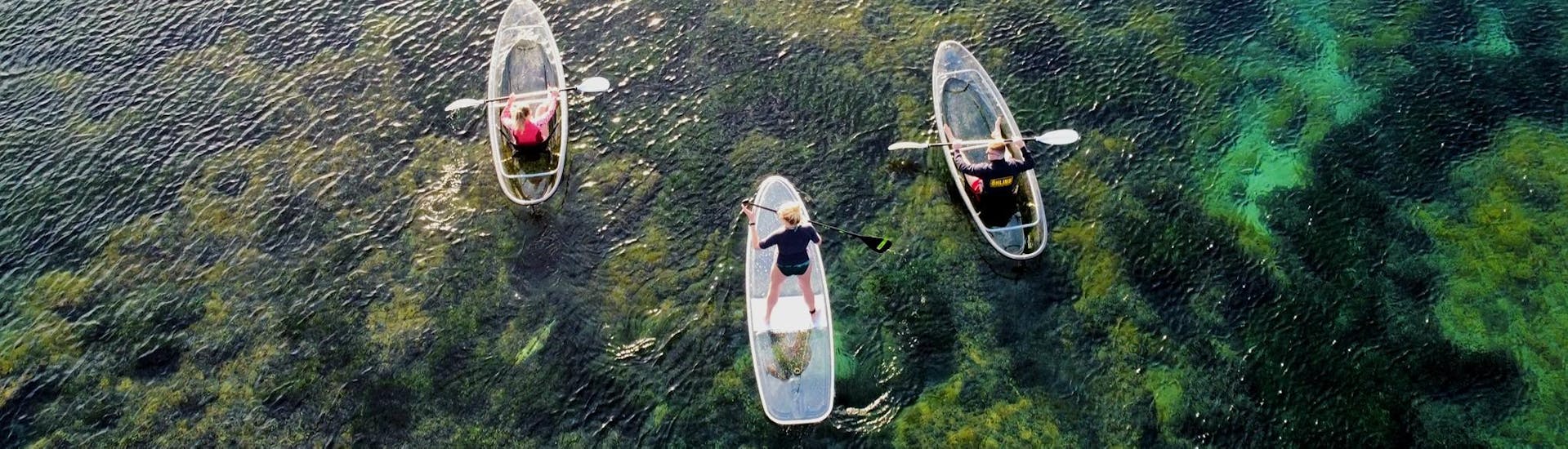 Des personnes font du kayak de mer et du stand up padldle avec Transparent'Sea dans Le Lavandou. 